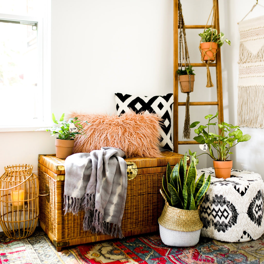 Indoor Jungle: The Ultimate Guide to Decorating with Houseplants