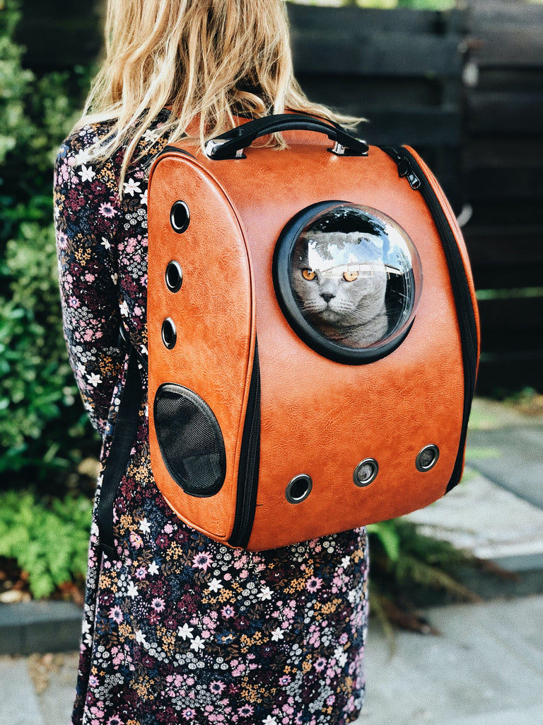 Safe and Secure: Selecting the Best Pet Carriers for Travel