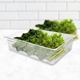 SOGA 150mm Clear Gastronorm GN Pan 1/1 Food Tray Storage with Lid