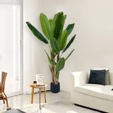 SOGA 190cm Banna Plant Bird of Paradise Tree Artificial Plant Home Accent Decor