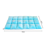 SOGA 4X Floor Recliner Collapsible Lounge Sofa Couch Folding Chair Cushion Light Blue