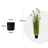 SOGA 2X 150cm  Cyperus Papyrus Plant Tree Artificial Green Grass, Home Or Office Indoor Greenery Accent