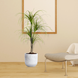 SOGA 2X 150cm Artificial Dracaena Plant Fake Potted, Simulation Tree Fake Plant Home Decor