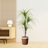 SOGA 2X 150cm Artificial Dracaena Plant Fake Potted, Simulation Tree Fake Plant Home Decor