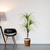 SOGA 4X 150cm Artificial Dracaena Plant Fake Potted, Simulation Tree Fake Plant Home Decor