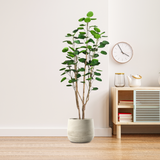 SOGA 4X Plastic Potted Polyscias Scutellaria Plant Home Garden Artificial Tree, Home Decor