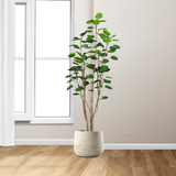 SOGA 4X Plastic Potted Polyscias Scutellaria Plant Home Garden Artificial Tree, Home Decor