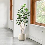 SOGA 2X 180cm Green Artificial Indoor Pocket Money Tree Fake Plant Simulation Decorative