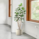 SOGA 4X Plastic Potted Polyscias Scutellaria Plant Home Garden Artificial Tree, Home Decor
