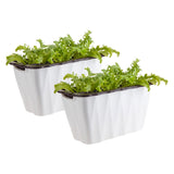 SOGA 2X 35cm Small White Rectangular Flowerpot Vegetable Herb Flower Outdoor Plastic Box Garden Decor