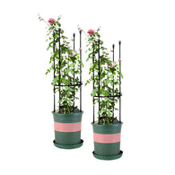 SOGA 2X 73cm 4-Bar Plant Frame Stand Trellis Vegetable Flower Herbs Outdoor Vine Support Garden Rack with Rings