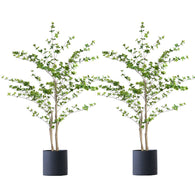 SOGA 2X 150cm Green Artificial Indoor Watercress Tree Fake Plant Simulation Decorative