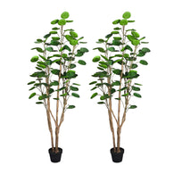 SOGA 2X 150cm Plastic Potted Polyscias Scutellaria Plant Home Garden Artificial Tree, Home Decor