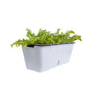 SOGA 50cm Large White Rectangular Flowerpot Vegetable Herb Flower Outdoor Plastic Box Garden Decor