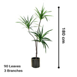 SOGA 2X 180cm Green Artificial Indoor Brazlian Iron Tree Fake Plant Decorative 3 Heads