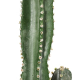 SOGA 120cm Green Artificial Indoor Cactus Tree Fake Plant Simulation Decorative 6 Heads