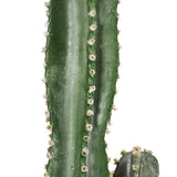 SOGA 2X 95cm Green Artificial Indoor Cactus Tree Fake Plant Simulation Decorative 2 Heads
