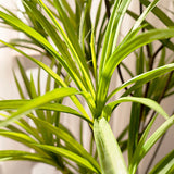 SOGA 90cm Artificial Natural Green Dracaena Dragon Tree Fake Tropical Indoor Plant Home Office Decor