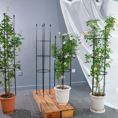 TRELLIS HOOKS.Hang flower pot on trellis or pallet.Plant hanger,holder,ring  | eBay