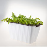 SOGA 2X 35cm Small White Rectangular Flowerpot Vegetable Herb Flower Outdoor Plastic Box Garden Decor