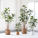SOGA 4X 150cm Plastic Potted Polyscias Scutellaria Plant Home Garden Artificial Tree, Home Decor