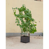 SOGA 160cm Rectangular Inclined Plant Frame Tube Pergola Trellis Vegetable Flower Herbs Outdoor Vine Support Garden Rack